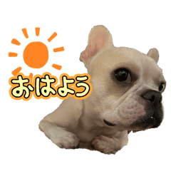 nico_20250115105958