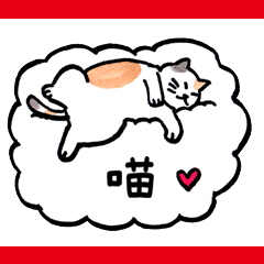 愛睡覺的貓第一弾♡致所有愛貓人士