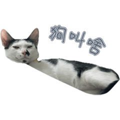 崔弟的小弟歐力狗