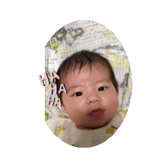 HIKARI_20250115145825
