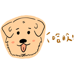 Pondai chubby dog