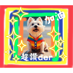 西高地白梗（妹妹）Gym健身篇