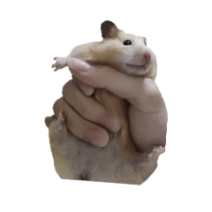 倉鼠寶包