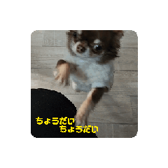 suzu_20250115153615