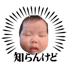 yoshi_20250115154742