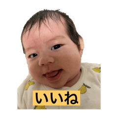 HIKARI_20250115163010