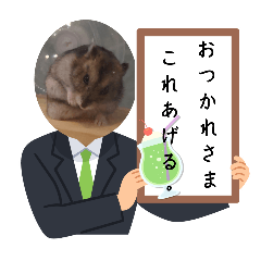 coco_20250115162300