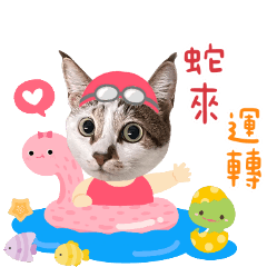 毛小孩來拜年嘍!