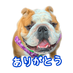GARP_20250115163416