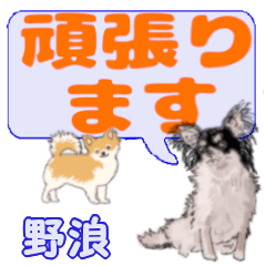 Nonami's letters Chihuahua (3)