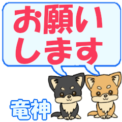 Ryuujin's letters Chihuahua2