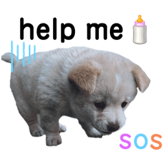 MaRko.Y_20250115190557