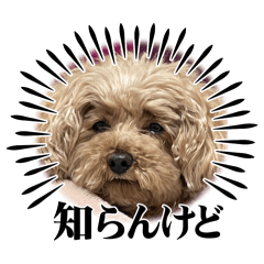 kana_20250115224559