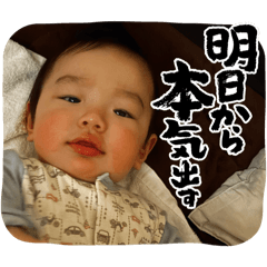 Maki_20250115164806