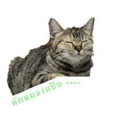 Lunah & Gasjang memories_20250116002954