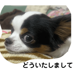 SACHI_20250115222400