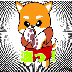 Shiba Inu dog want to play with you