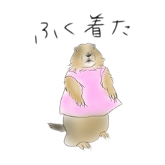 hemhemjp_20250115210935