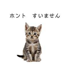 Japanese small cat sticker