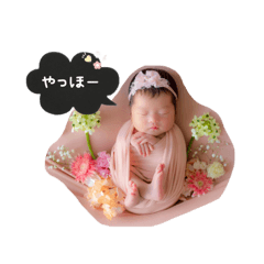 Mai_20250116125544