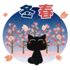 黒ねこの冬・春便り