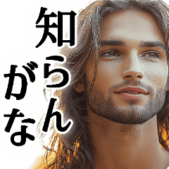 Simple Japanese handsome stickers