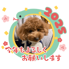akamii_20250116133430