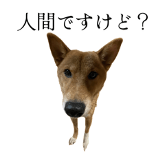 KIRA_20250116134028