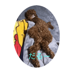 choco_20250116134052