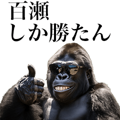 [Momose] Funny Gorilla stamp to send