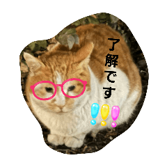 asuka_20250116150420