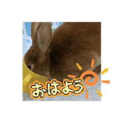 momo_20250116212431