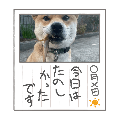 osugi_20250116192332