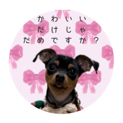 chihiro_20250116202617
