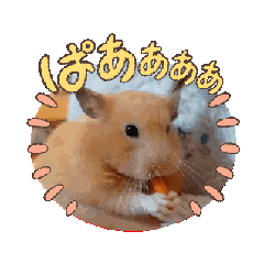 HARUKA_20250117094500