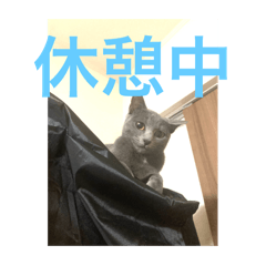 tank_20250116150408