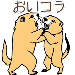 Marmot Moments2: Daily Life Stickers