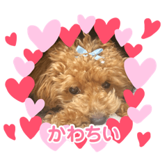 mayu_20250116181534