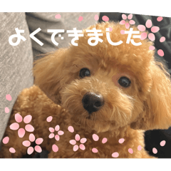 mayu_20250116181734