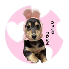 komachi Land_20250116222553