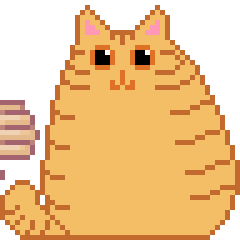 Plump orange cat