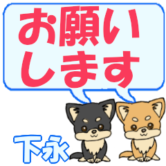 Shimonaga's letters Chihuahua2