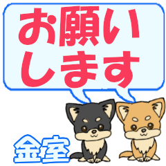 Kanamuro's letters Chihuahua2