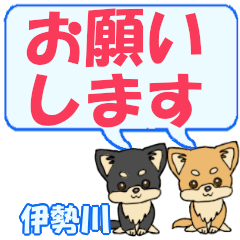 Isegawa's letters Chihuahua2