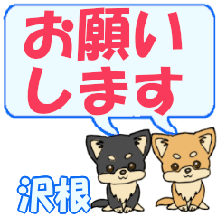 Sawane's letters Chihuahua2
