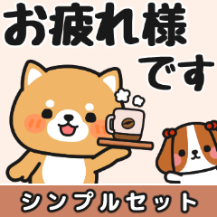 シンプル♪送信しやすい #柴犬クッキー9