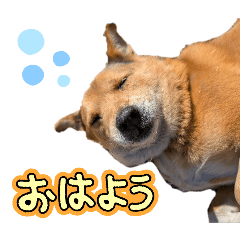 RINA_20250116164917