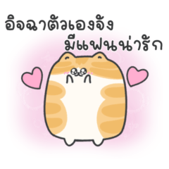 เหมียวเมลโล่ 4