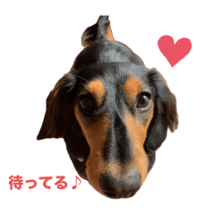 mAyu_20250116201117