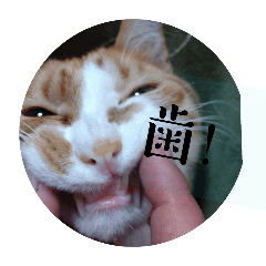 sachi_20250116192057